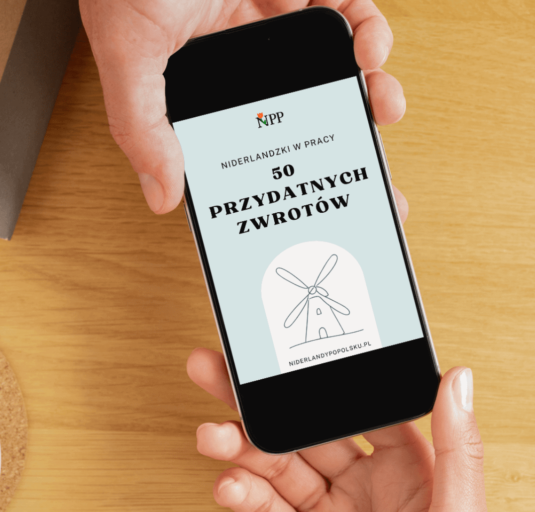 Niderlandzki w pracy